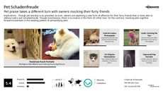Pets Trend Report Research Insight 7