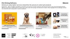 Pet Product Trend Report Research Insight 5